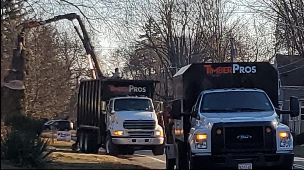 Timber Pros - Tree Services Image